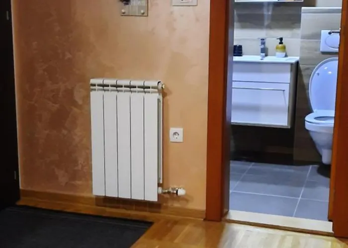 Apartment Mila 1 Zlatibor