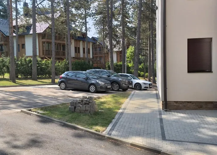 Apartment Mila 1 Zlatibor